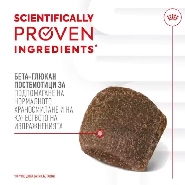 Royal Canin Adult Dog Supplement Digestion - Хранителна добавка за кучета в зряла възраст за по-добро храносмилане 160 гр